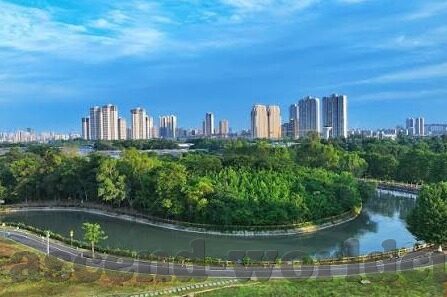星空体育app平台官网-星空体育app平台官网的全面体验之旅