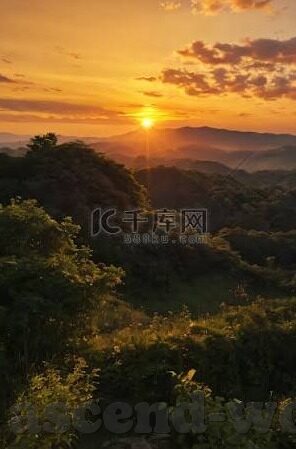 星空·体育中国官方网-破解星空下的体育精神，从赛事垂直视角探寻中国体育的官方网之路