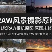 足球球探比分网即时比分-足球球探比分网即时比分，球迷的实时信息宝库与战术分析利器